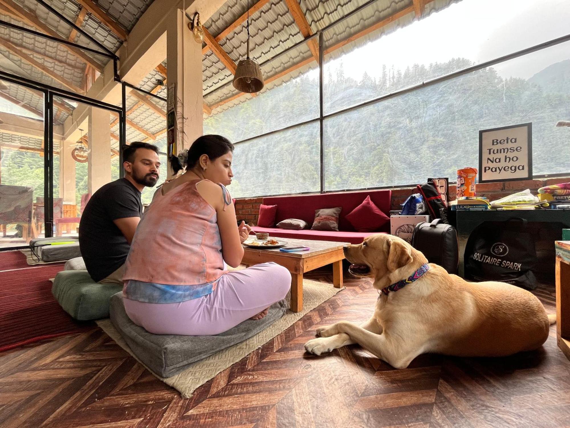 Thepahadians Food & Stay Jibhi Esterno foto